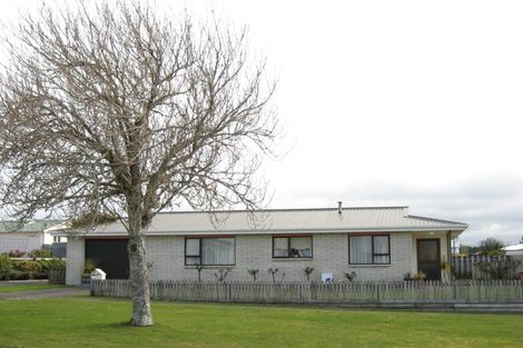 Photo of property in 45 Portia Street, Stratford, 4332