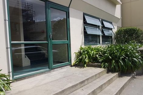 Photo of property in Te Awhina Apartments, 19/22u Sussex Street, Mount Cook, Wellington, 6021