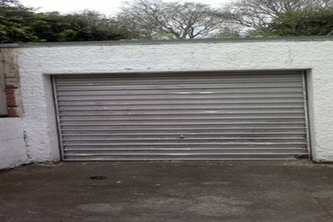 Photo of property in 76 Mcalpine Avenue, Mount Cook, Wellington, 6011