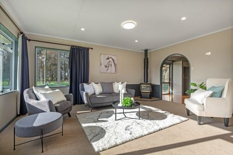 Photo of property in 83 Trickers Road, Bulls, 4818