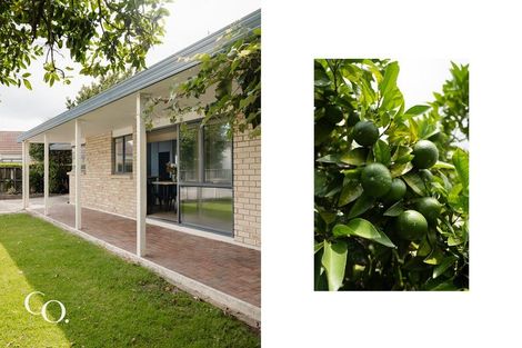 Photo of property in 267 Maungatapu Road, Maungatapu, Tauranga, 3112