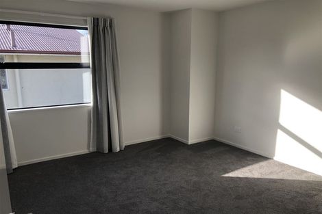 Photo of property in 49 Olliviers Road, Phillipstown, Christchurch, 8011