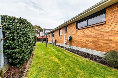 Photo of property in 8 Mcwilliam Avenue, Winton, 9720