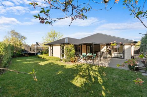 Photo of property in 59 Somerville Crescent, Aidanfield, Christchurch, 8025
