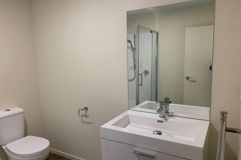 Photo of property in 215u1 Massey Street, Frankton, Hamilton, 3204