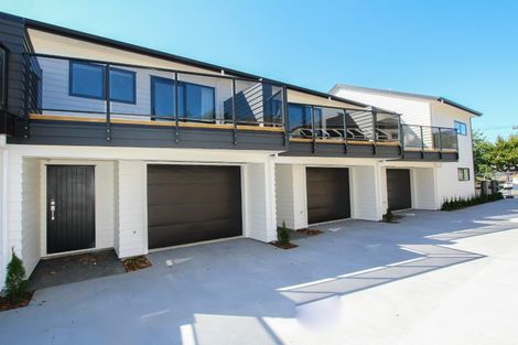Photo of property in 18u4 Hunter Street, Hamilton Lake, Hamilton, 3204