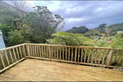 Photo of property in 164b Raroa Road, Aro Valley, Wellington, 6012