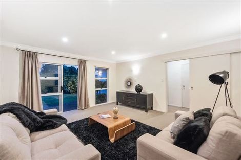 Photo of property in 17 Egmont Street, Chartwell, Hamilton, 3210