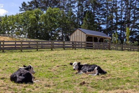 Photo of property in 41 Berenice Lane, Riverhead, Albany, 0793