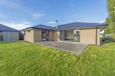 Photo of property in 5 Newbrook Terrace, Darfield, 7510