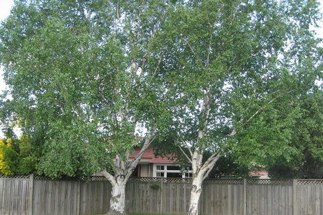 Photo of property in 26 Murphys Road, Springlands, Blenheim, 7201