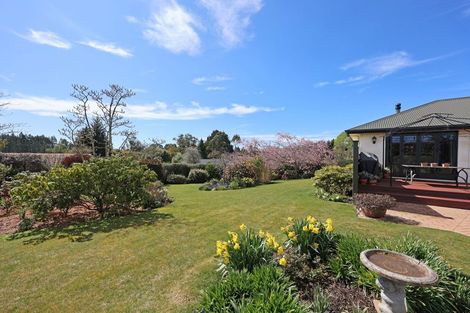 Photo of property in 331 Homestead Road, Weston, Oamaru, 9491