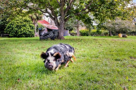 Photo of property in 14 Weld Street, Normanby, Hawera, 4614