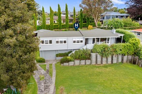 Photo of property in 163b Darraghs Road, Brookfield, Tauranga, 3110