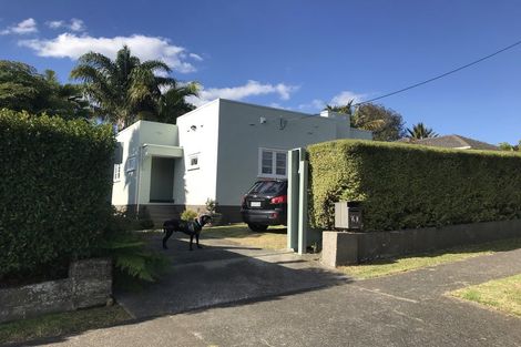 Photo of property in 20 Gardner Avenue, New Lynn, Auckland, 0600