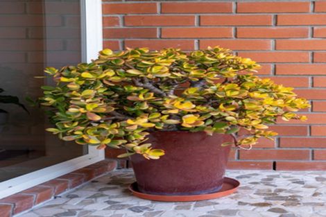 Photo of property in 29 Saffron Street, Cambridge, 3434