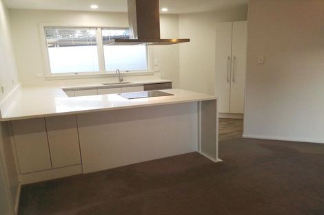 Photo of property in 5 Ketton Place, St Albans, Christchurch, 8052