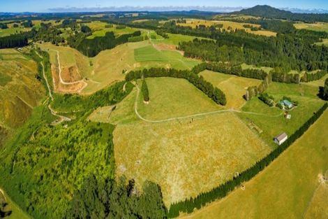 Photo of property in 1798 Te Matai Road, Te Ranga, Te Puke, 3188