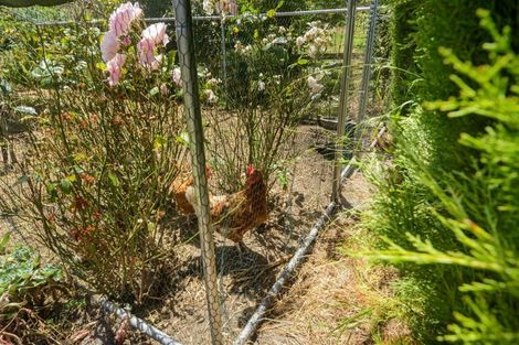 Photo of property in 40 Milne Street, Marton, 4710