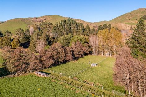 Photo of property in 1437 Ormondville Te Uri Road, Te Uri, Dannevirke, 4977