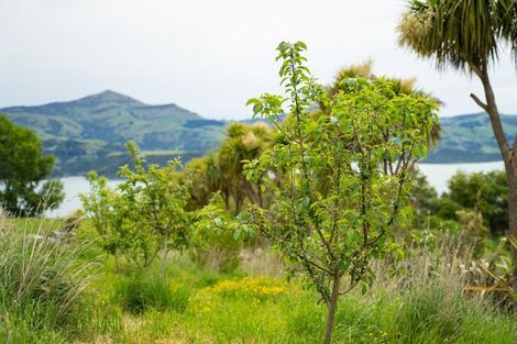 Photo of property in 41 Lighthouse Road, Akaroa, 7520
