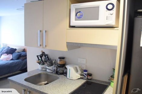 Photo of property in Dual Apartments, 108/142u Vivian Street, Te Aro, Wellington, 6011