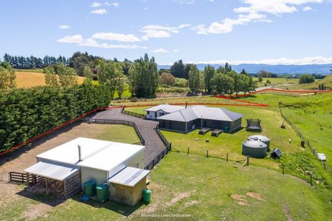 Photo of property in 263 Millars Road, Longbush, Carterton, 5792