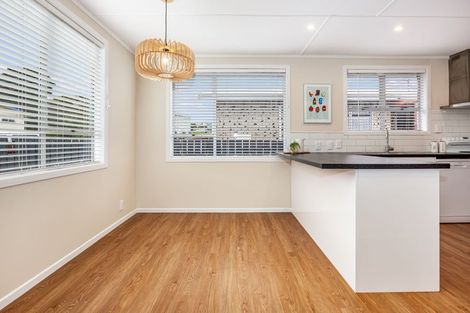 Photo of property in 58 Desert Gold Street, Ascot Park, Porirua, 5024