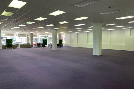 Photo of property in Marion Square Apartments, 3/26 Marion Street, Te Aro, Wellington, 6011