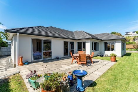 Photo of property in 19 Tongariro Drive, Aotea, Porirua, 5024