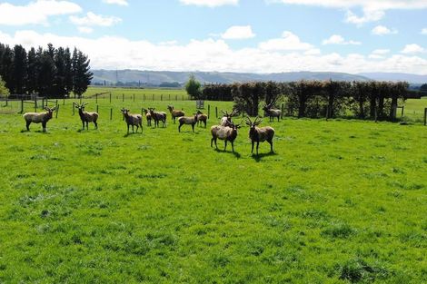 Photo of property in 68 Currie Road, Woodside, Outram, 9073