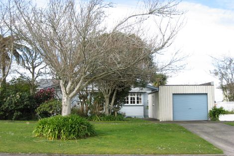 Photo of property in 22 Portia Street, Stratford, 4332