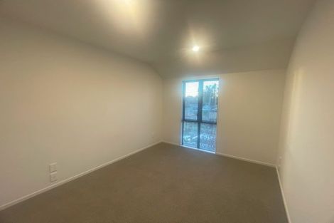 Photo of property in 58 Edward Avenue, Edgeware, Christchurch, 8013