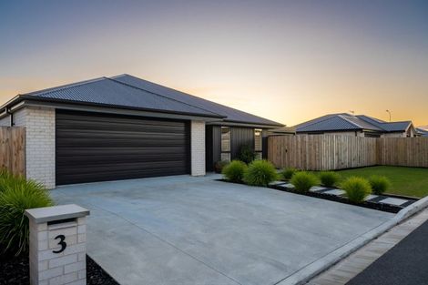 Photo of property in 3 Snapdragon Lane, Wigram, Christchurch, 8025