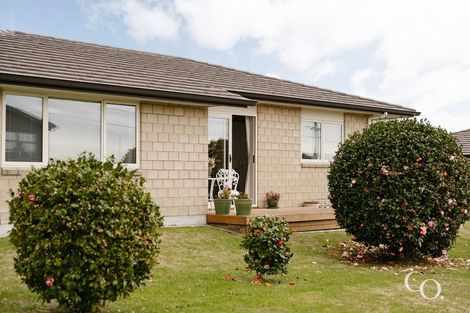 Photo of property in 78 Chadwick Road, Greerton, Tauranga, 3112