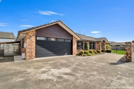 Photo of property in 53a North Street, Palmerston North, 4410