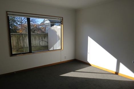 Photo of property in 124 Salisbury Road, Richmond, 7020