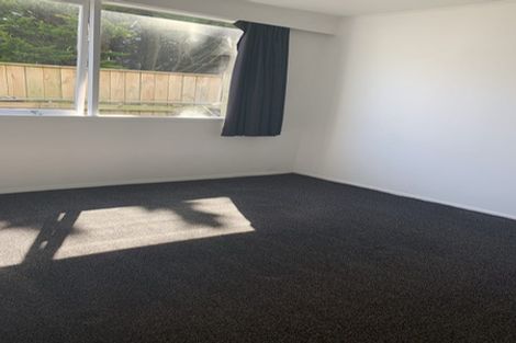 Photo of property in 78 Mcalpine Avenue, Mount Cook, Wellington, 6011