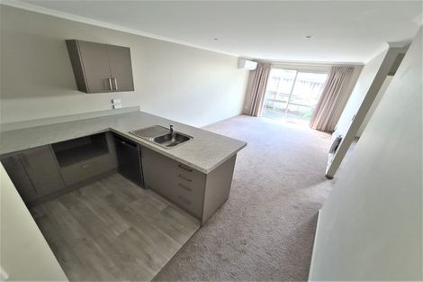 Photo of property in 3u2 Edgecumbe Street, Whitiora, Hamilton, 3200