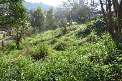 Photo of property in 2a Elizabeth Street, Te Kuiti, 3910