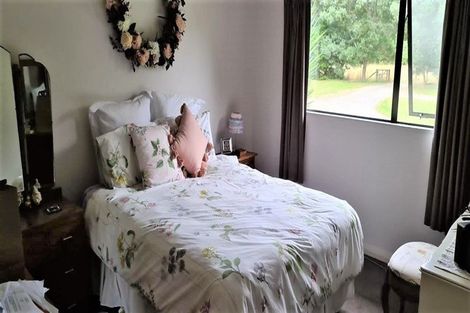 Photo of property in 131 Arapaepae Road South, Levin, 5571