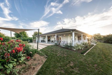 Photo of property in 81 Racecourse Road, Cambridge, 3493