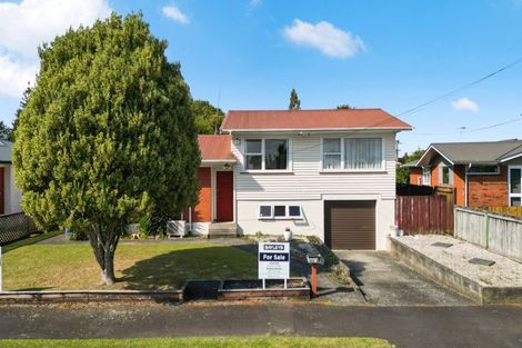 Photo of property in 143 Fitzroy Avenue, Fitzroy, Hamilton, 3206
