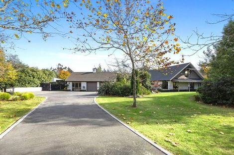 Photo of property in 259 O'roarkes Road, Fernside, Rangiora, 7471