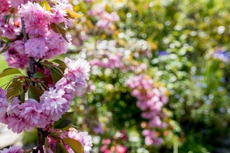 Photo of property in 59 Isadore Road, Saint Clair, Dunedin, 9012