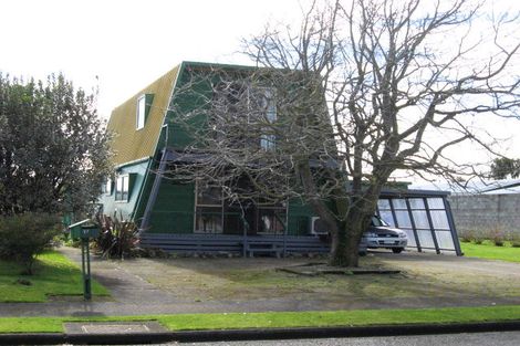 Photo of property in 17 Martin Harvey Street, Levin, 5510