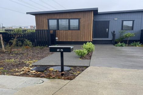 Photo of property in 25 Olearia Street, Totara Park, 2019