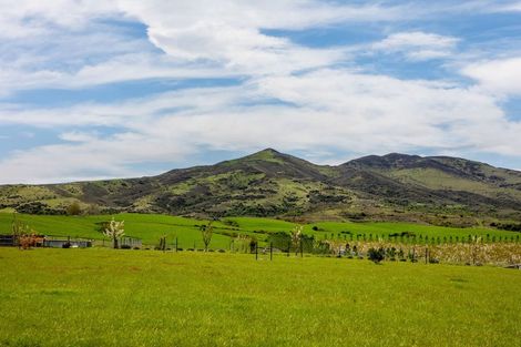 Photo of property in 39 Kordia Way, Waikerikeri, Alexandra, 9391