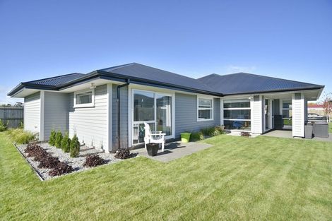 Photo of property in 3 Mcquillan Avenue, Woodend, 7610