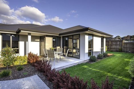 Photo of property in 20 Hart Road, Richmond, 7020